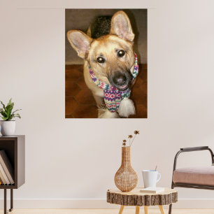 Süßer liebenswerter deutscher Schäferhund mit Scha Poster