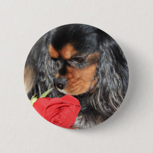 Süßer Love Cavalier King Charles Spaniel Button