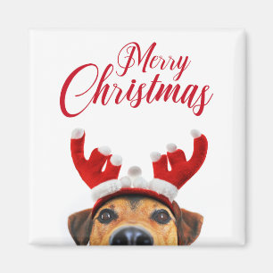 Süßer lustiger Weihnachts-Hund-Rentiergeweih-Stirn Magnet