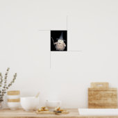 Süßer lustiger Zauberer-Katze seltsames Kätzchen K Poster (Küche)