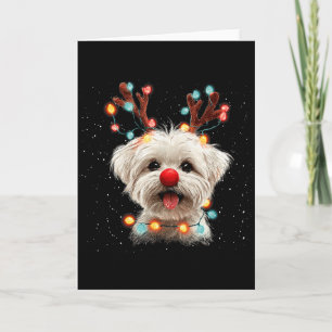 Süßer Malteser Hund Rentier Weihnachten Karte