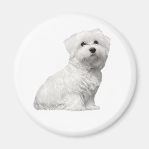 Süßer Malteserhund Sitzendes Welpe Magnet