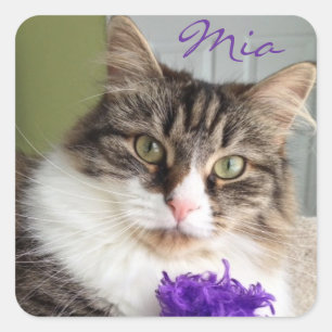 Süßer Mia Aufkleber