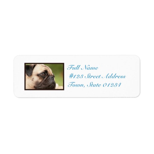 Süßer Mops (Vorne)