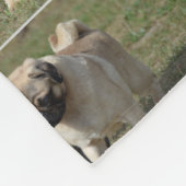Süßer Mops-Hund Fleecedecke (Ecke)