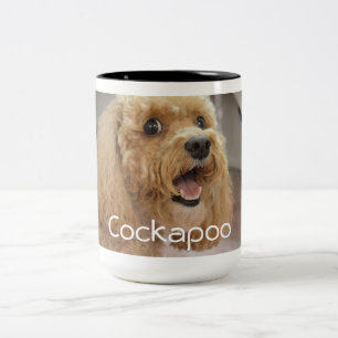 Süßer niedlicher Cockapoo-Hund Tier Familienfoto Zweifarbige Tasse