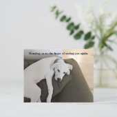 Süßer Niedlicher Welpenhund auf Grün Postkarte (Stehend Vorderseite)