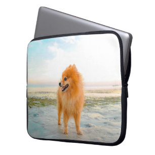 Süßer orangefarbener Pomeranian am Strand Laptopschutzhülle