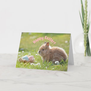 Süßer Osterhase mit bemalten Eiern Karte