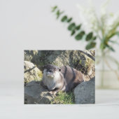 SÜSSER OTTER POSTKARTE (Stehend Vorderseite)