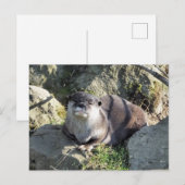 SÜSSER OTTER POSTKARTE (Vorne/Hinten)