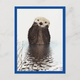 Süßer Otter Tier Blau Postkarte