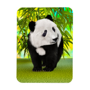 Süßer Panda-Bär Kawaii Tierliebhaber Perfektes Ges Magnet