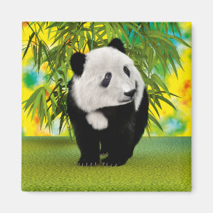 Süßer Panda-Bär-Klein Kawaii-Tierliebhaber-Geschen Magnet