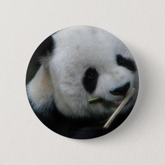Süßer Panda-Button – Kawaii-Panda-Anstecknadel Button (Vorderseite)