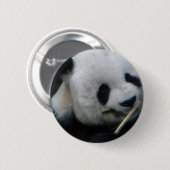 Süßer Panda-Button – Kawaii-Panda-Anstecknadel Button (Vorne & Hinten)