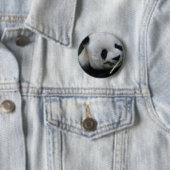 Süßer Panda-Button – Kawaii-Panda-Anstecknadel Button (Beispiel)