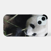 Süßer Panda iPhone 15 Hülle (Rückseite (Horizontal))