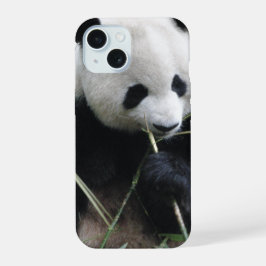 Süßer Panda iPhone 15 Hülle