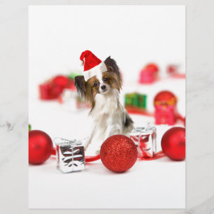 Süßer Papillon-Hund Weihnachten Santa Hut