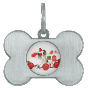 Süßer Papillon-Hund Weihnachten Santa Hut Tiermarke