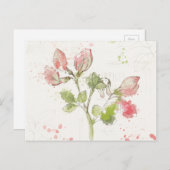 Süßer Pea Wasserfarbe Postkarte (Vorne/Hinten)