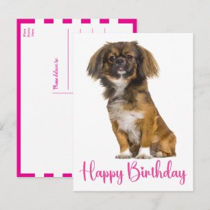 Süßer Pekingeser Geburtstag Welpe Hund Geburtstag Postkarte