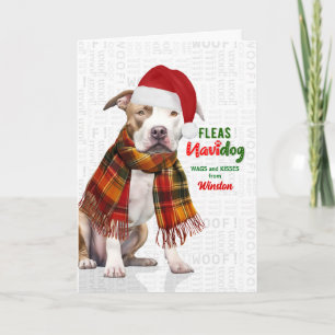 Süßer Pit Bull Hund Lustiger Floh Navidog mit Name Feiertagskarte