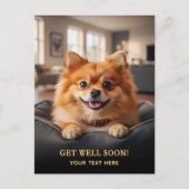 Süßer Pomeranian Gute Besserung Postkarte (Vorderseite)