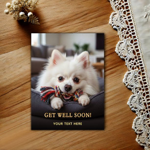 Süßer Pomeranian Gute Besserung Postkarte