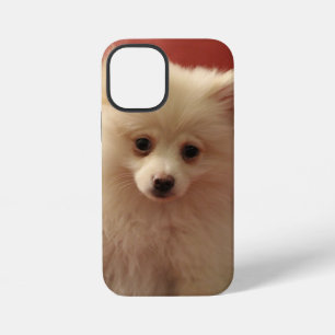 Süßer Pomeranian-Hund iPhone 12 Mini Hülle