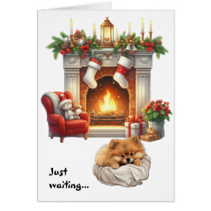 Süßer Pomeranian-Hund wartet auf Weihnachten