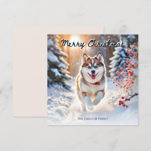 Süßer Pomsky-Hund im Schnee Weihnachten Frohe Weih