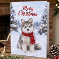 Süßer Pomsky-Welpe Hundeliebhaber Schneeweihnachte