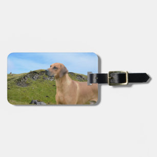 Süßer Rhodesian Ridgeback Hund Gepäckanhänger