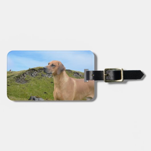 Süßer Rhodesian Ridgeback Hund Gepäckanhänger (Vorderseite horizontal)