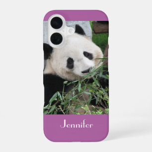 Süßer Riesenpanda, Orchidee, Lila, Name, iPhone 16 Hülle