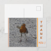Süßer Robin DANKE Postkarte (Vorne/Hinten)