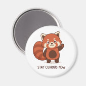 Süßer roter Panda als inspirierender Magnet (Vorderseite/Rückseite)
