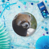 Süßer roter Panda-Bär Pappteller (Party)