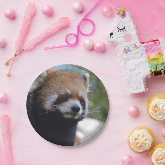 Süßer roter Panda-Bär Pappteller (Party)