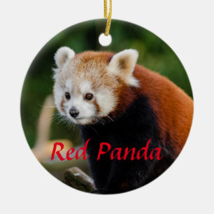 Süßer Roter Panda Fire Fox Keramik Ornament