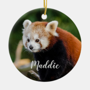 Süßer Roter Panda Fire Fox personalisiert Keramik Ornament