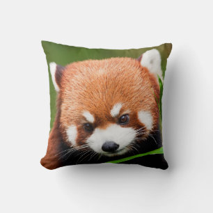 Süßer Roter Panda Kissen