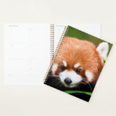 Süßer Roter Panda Planer (Anzeige)