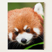 Süßer Roter Panda Planer (Rückseite)
