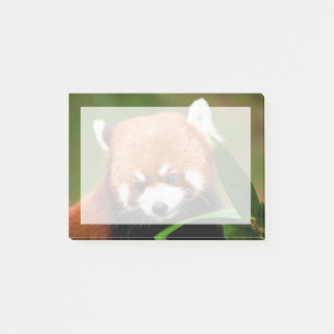 Süßer Roter Panda Post-it Klebezettel