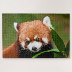 Süßer Roter Panda Puzzle