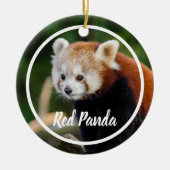 Süßer Roter-Panda-Rahmen Keramik Ornament (Vorne)
