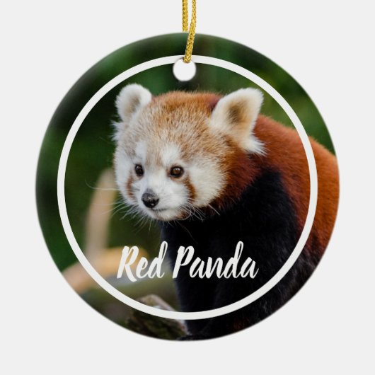 Süßer Roter-Panda-Rahmen Keramik Ornament (Vorne)